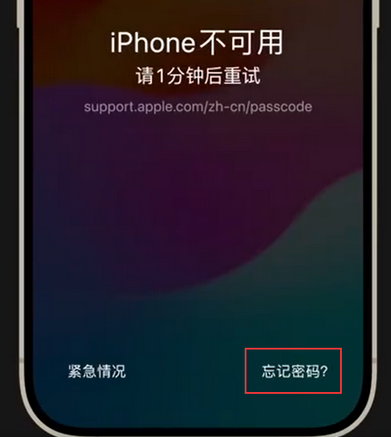 武定苹果手机密码维修分享iPhone忘记了刚设置的密码 